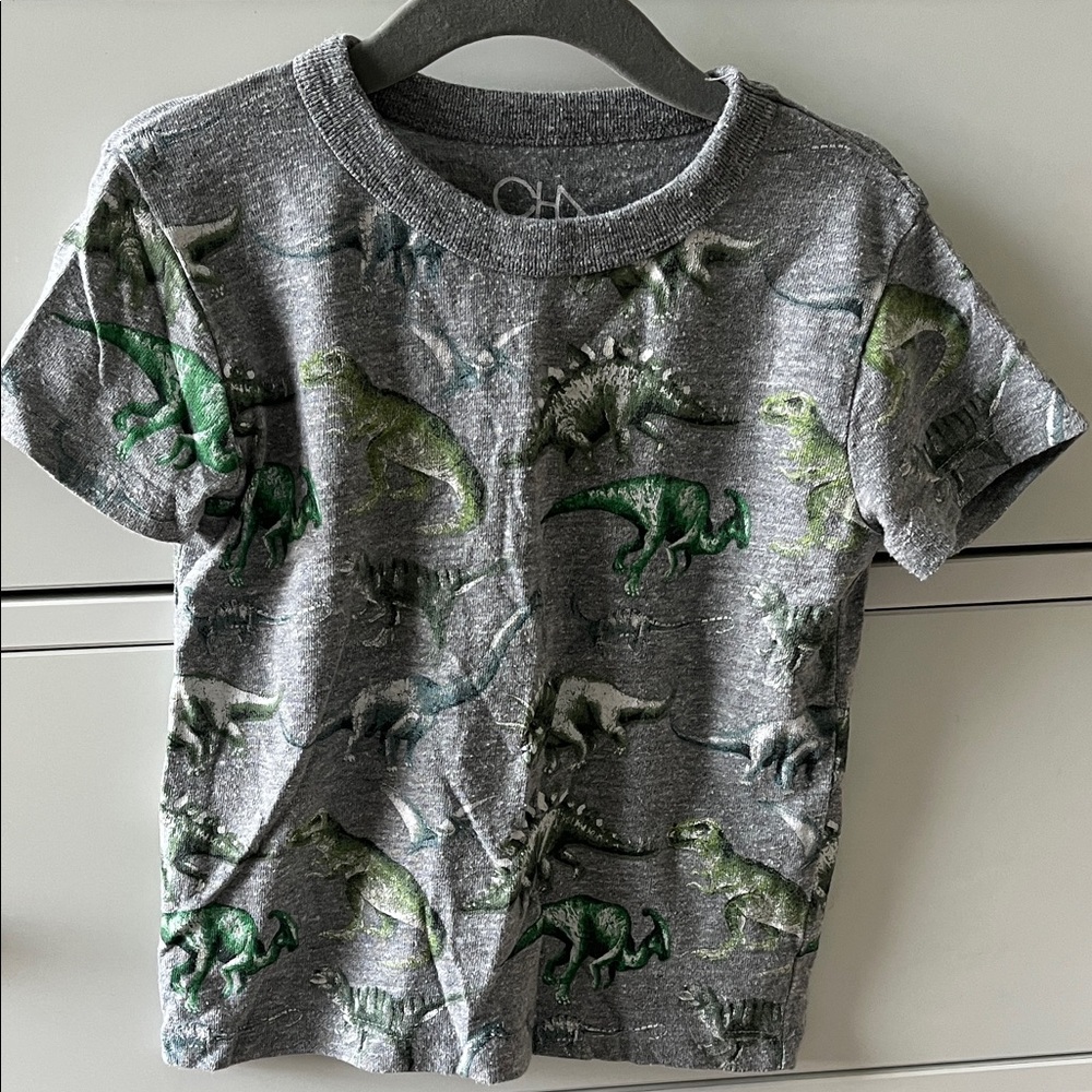 Gray Dinosaur Print Kids T-Shirt